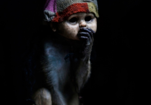 Fondation Picture Doc